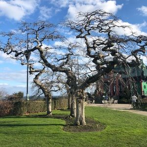 Meet your Posher, Skylar